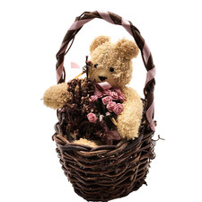 Mini teddy bear for sale  Cameron