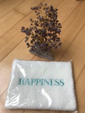 Etui tasche teddy gebraucht kaufen  Trier