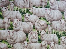 Cotton sheep lambs for sale  Grants Pass