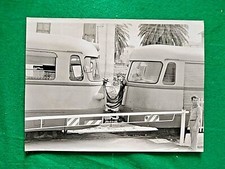 Grande fotografia sardegna usato  Sassari