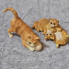 Cats play orange for sale  Middle Island