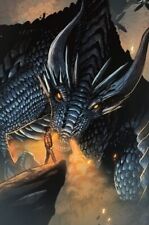 Dragon Whisperer #1 Jimbo Salgado Virgin limitado a 100 cópias vermelho 5 comprar usado  Enviando para Brazil
