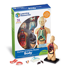 Modello anatomico corpo usato  Roma