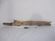 Legno mare tronco usato  Orbetello