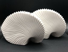 paper nautilus for sale paper nautilus for sale BOLTON