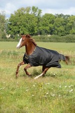 Bucas 125 black gebraucht kaufen  Siegen