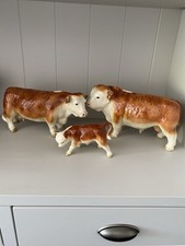 hereford cow for sale hereford cow for sale CHESTER