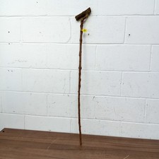 1.1m seasoned unique for sale 1.1m seasoned unique for sale  NOTTINGHAM