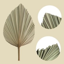 Brand new dried for sale  ARUNDEL