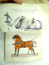 Equitazione bardatura cavalli usato  Cremona
