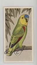 1960 barratt cage for sale  Auburn