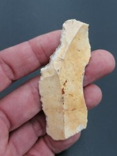 Upper paleolithic prob. d'occasion  Bonneville