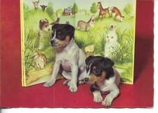 "Two dogs" Modern French photo postcard 1970s, usado comprar usado  Enviando para Brazil