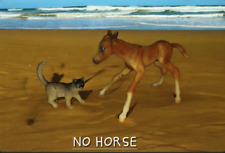 Breyer horse companion for sale  Cheyenne