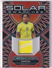 Panini 2024 bsidian gebraucht kaufen  Nußloch