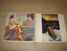 Iron butterfly pinera usato Iron butterfly pinera usato  Genova