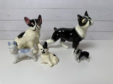 Lot boston terrier d'occasion  Expédié en Belgium
