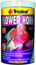 Tropical flower horn usato  Spedire a Italy