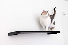 cat climbing tower for sale cat climbing tower for sale SALFORD