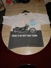 Usa harley davidson gebraucht kaufen  Kreuzwertheim