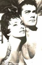 Gina lollobrigida curtis gebraucht kaufen  Leipzig