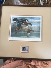 David maass 1984 for sale  El Campo