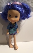 Strawberry shortcake blueberry for sale  Goshen