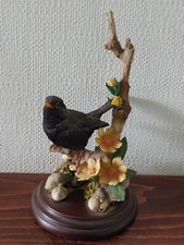 Country artists blackbird for sale  MARKET RASEN