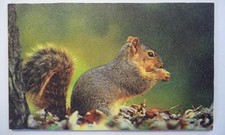 Deko hdf natur gebraucht kaufen  Berlin
