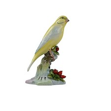 Adderley bird canary for sale  DUNDEE