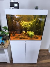 aquarium komplett 200l gebraucht kaufen aquarium komplett 200l gebraucht kaufen Preußisch Oldendorf