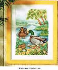 Ducks live river for sale  Ontario