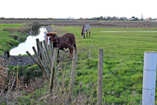 Dinky supertoys camion d'occasion Dinky supertoys camion d'occasion  France