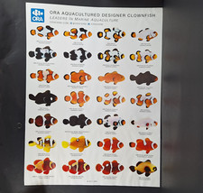 Aquarium marine fish d'occasion  Expédié en Belgium