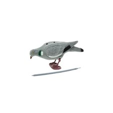 Sport plast single for sale  STIRLING