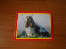 Figurina cani gatti usato  Torino