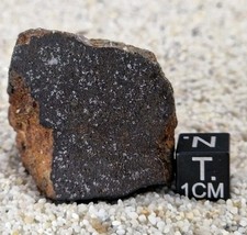 Meteorite nwa 17435 d'occasion  Pernes-les-Fontaines