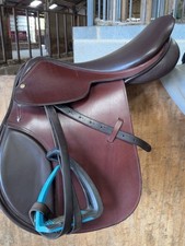 Swain brothers pony for sale  ASHINGTON