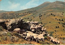 Cartolina sardegna gennargentu usato  Milano