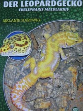 Leopardgecko natur tier gebraucht kaufen  Krefeld