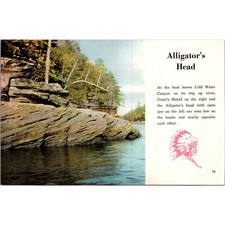 Alligator head right for sale  Hinckley