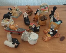 peter fagan cats for sale peter fagan cats for sale SOUTHPORT