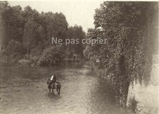 Cavalier body of d'occasion  Expédié en Belgium