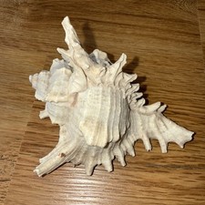 Vintage white giant for sale  HOCKLEY