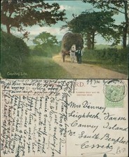 Country life farmer for sale  MANCHESTER