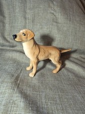 Vintage golden labrador for sale  WELSHPOOL