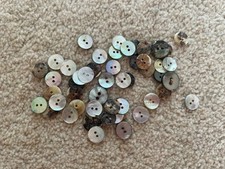 Mother pearl shell for sale  ORPINGTON