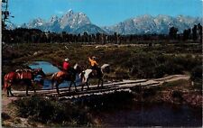 trail horseback rides for sale  Sparta