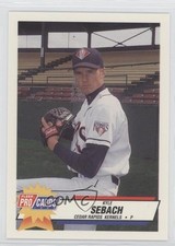 Fleer procards minor usato  Spedire a Italy