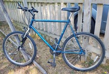 Raleigh activator bike for sale  ROMSEY